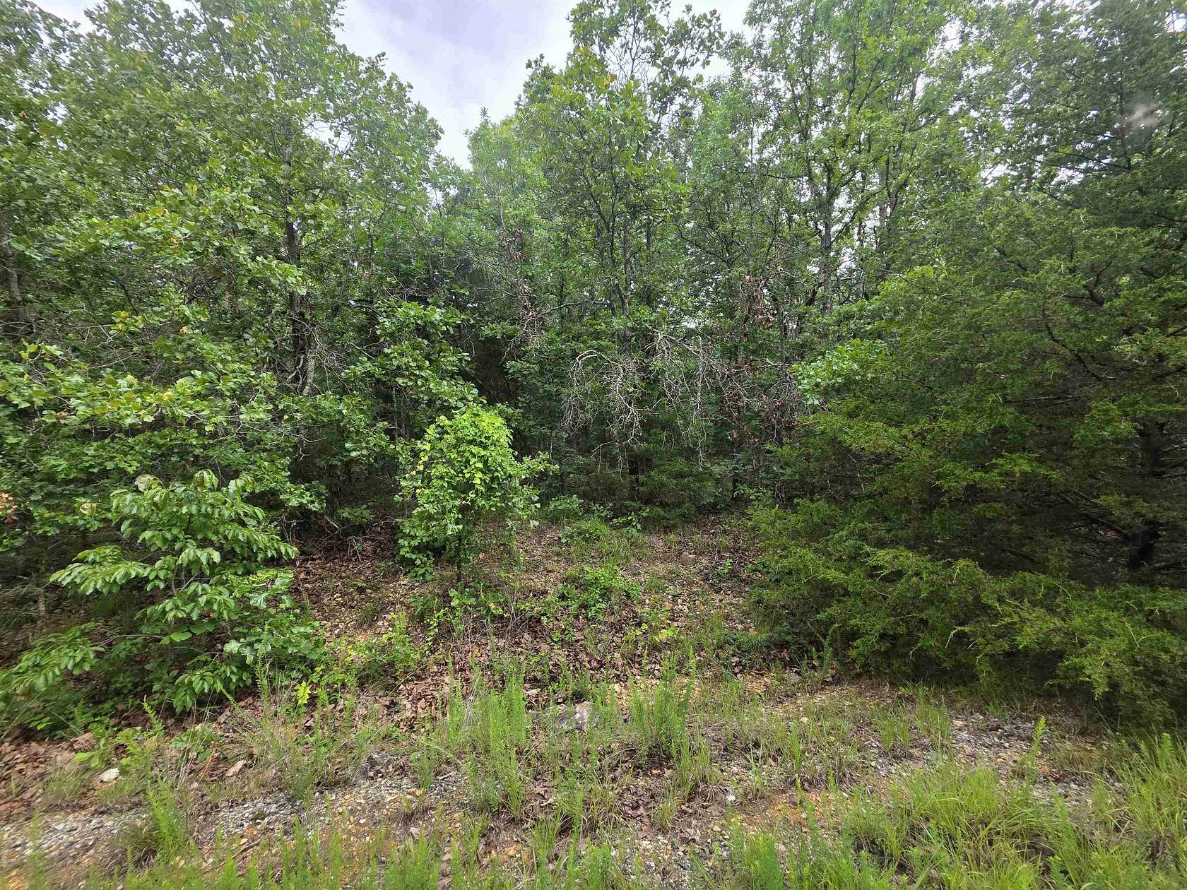 0.25 Acres of Residential Land for Sale in Cherokee Village, Arkansas