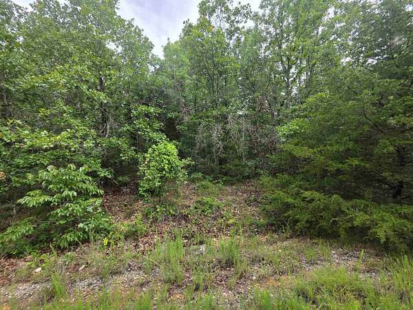0.25 Acres of Residential Land for Sale in Cherokee Village, Arkansas