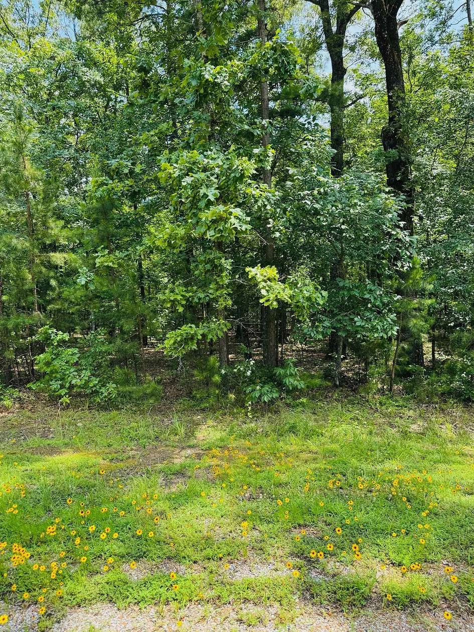 0.96 Acres of Residential Land for Sale in Heber Springs, Arkansas