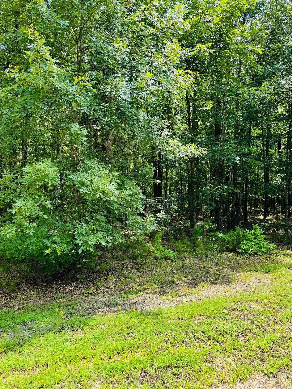 0.98 Acres of Residential Land for Sale in Heber Springs, Arkansas