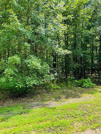 0.98 Acres of Residential Land for Sale in Heber Springs, Arkansas