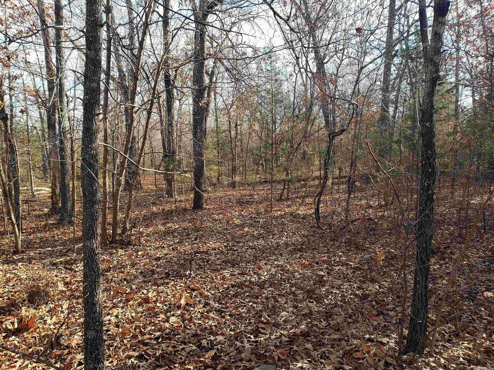 0.76 Acres of Residential Land for Sale in Cherokee Village, Arkansas