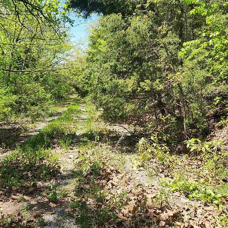 0.26 Acres of Residential Land for Sale in Cherokee Village, Arkansas