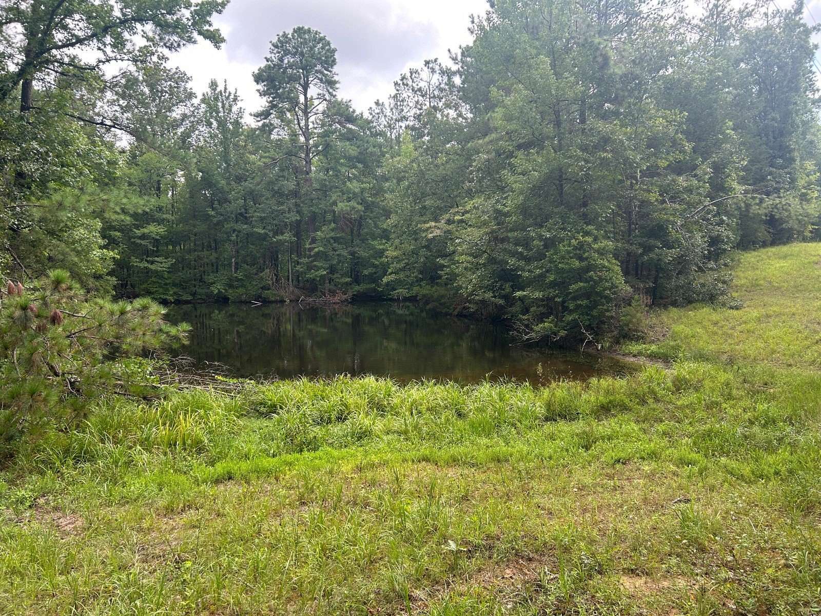 65 Acres of Improved Land for Sale in Grenada, Mississippi
