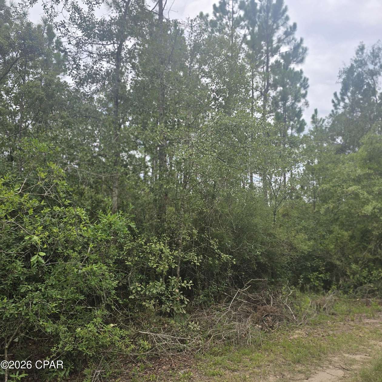 5 Acres of Residential Land for Sale in Youngstown, Florida
