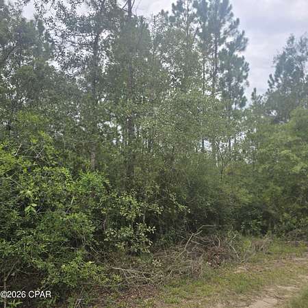 5 Acres of Residential Land for Sale in Youngstown, Florida