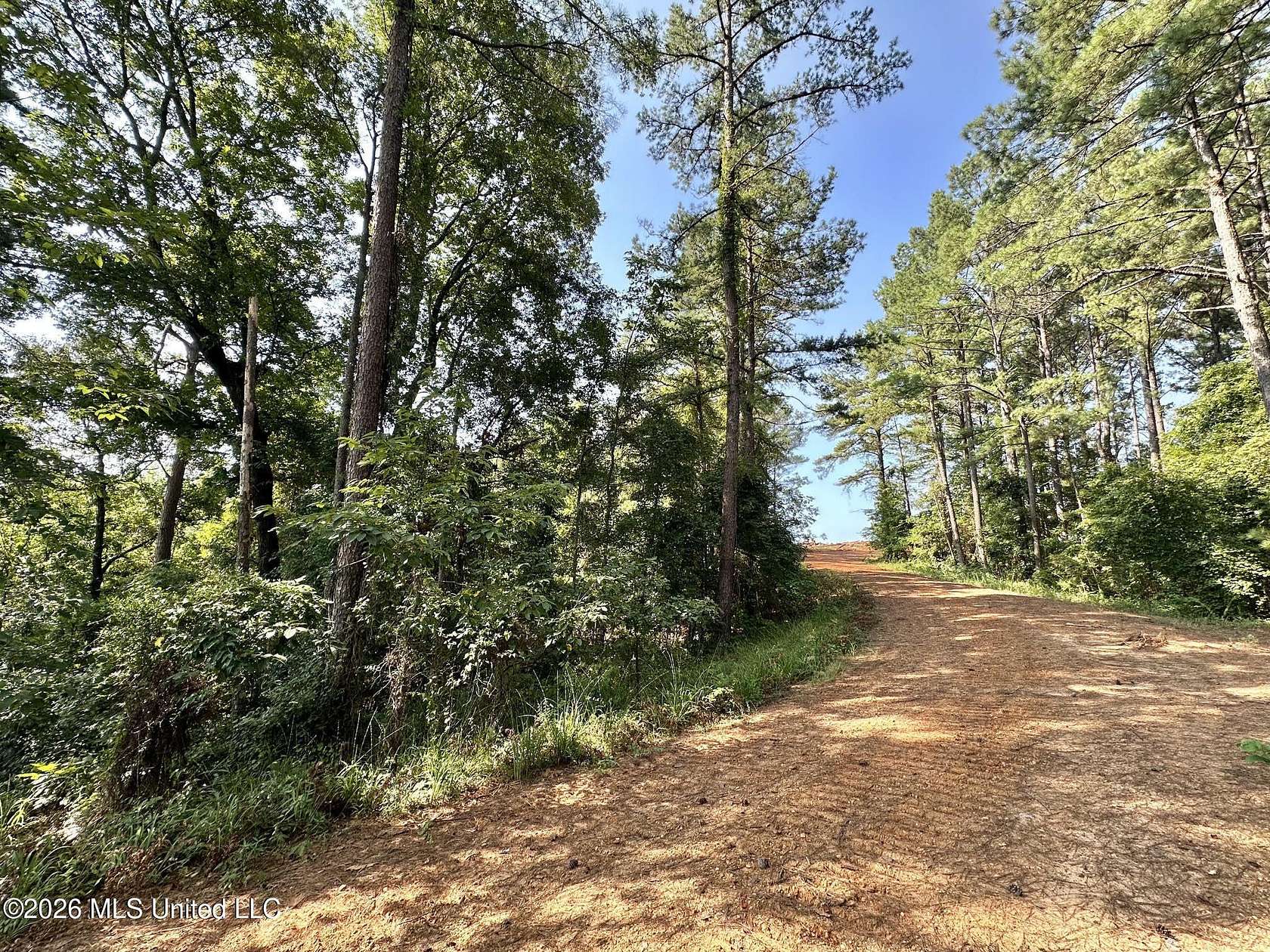 21 Acres of Recreational Land for Sale in Ethel, Mississippi