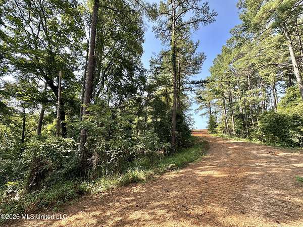 21 Acres of Recreational Land for Sale in Ethel, Mississippi