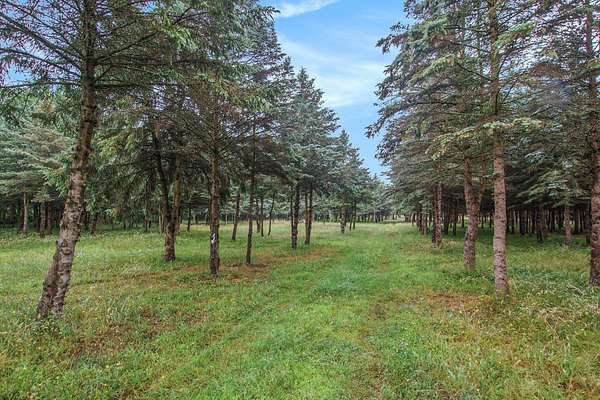 5.16 Acres of Residential Land for Sale in West Olive, Michigan