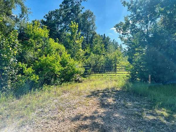 10 Acres of Recreational & Residential Land for Sale in Jasper, Texas