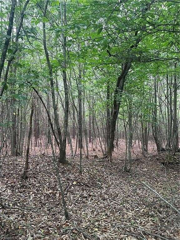 27.9 Acres of Land for Sale in Walnut Cove, North Carolina
