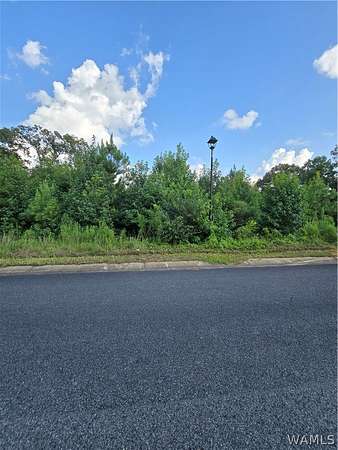 1 Acre of Residential Land for Sale in Northport, Alabama
