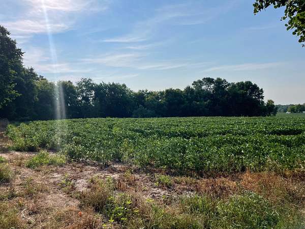 11 Acres of Recreational & Residential Land for Sale in Milaca, Minnesota