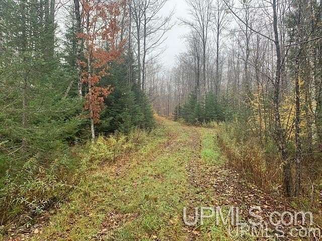 80 Acres of Land for Sale in Trenary, Michigan