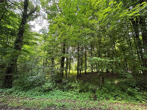 1 Acre of Land for Sale in Linesville, Pennsylvania