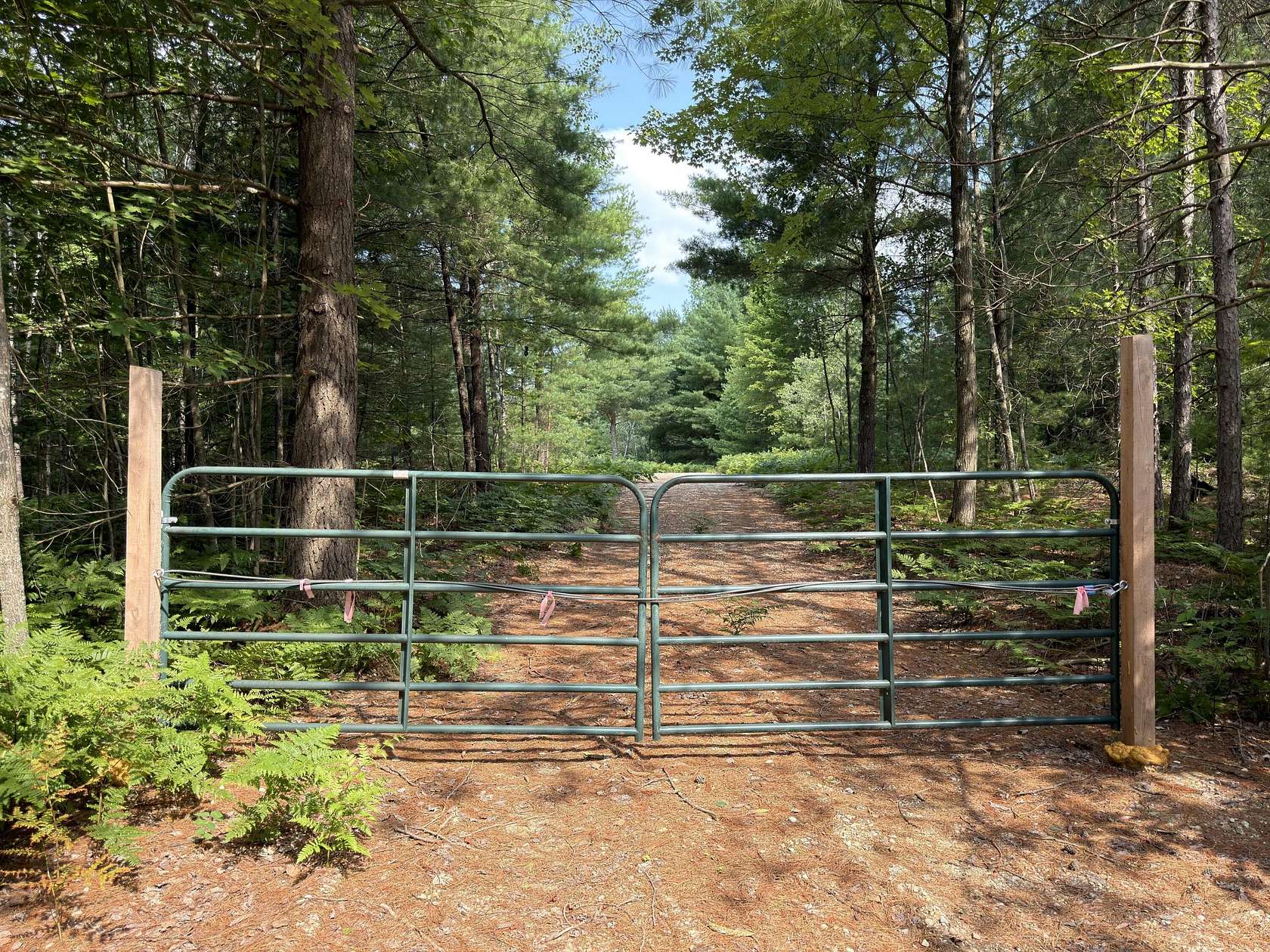 25 Acres of Recreational & Residential Land for Sale in Kaleva, Michigan