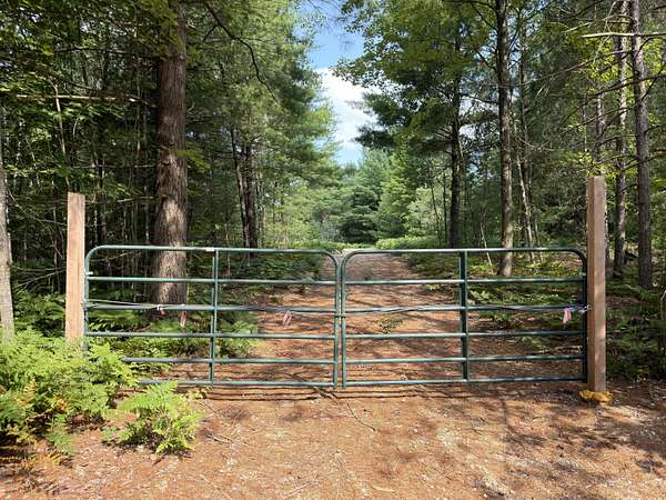 25 Acres of Recreational & Residential Land for Sale in Kaleva, Michigan