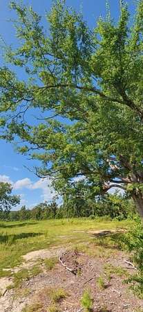 10.3 Acres of Land with Home for Sale in Oxford, Mississippi
