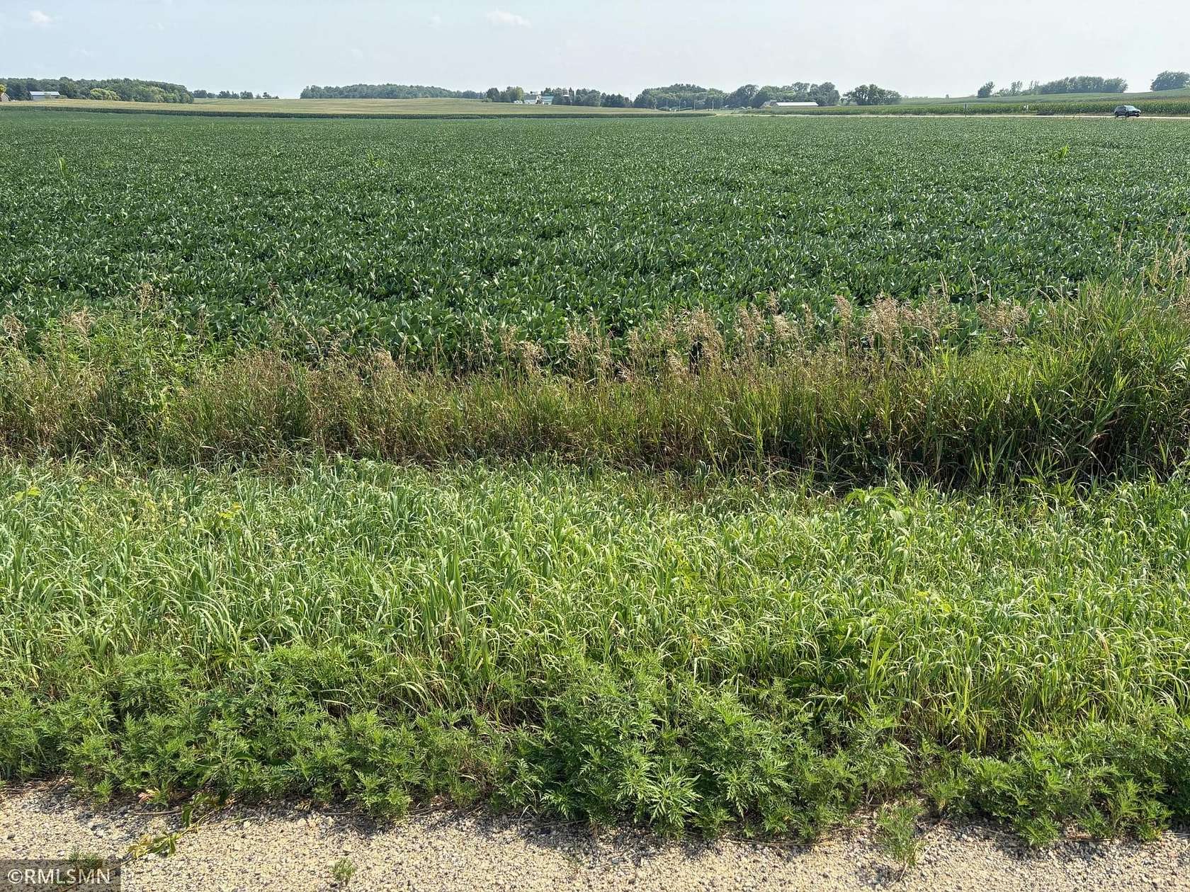 52 Acres of Agricultural Land for Sale in Amery, Wisconsin