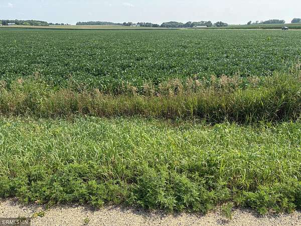 52 Acres of Agricultural Land for Sale in Amery, Wisconsin