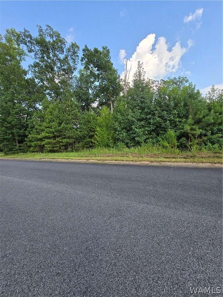 1 Acre of Residential Land for Sale in Northport, Alabama