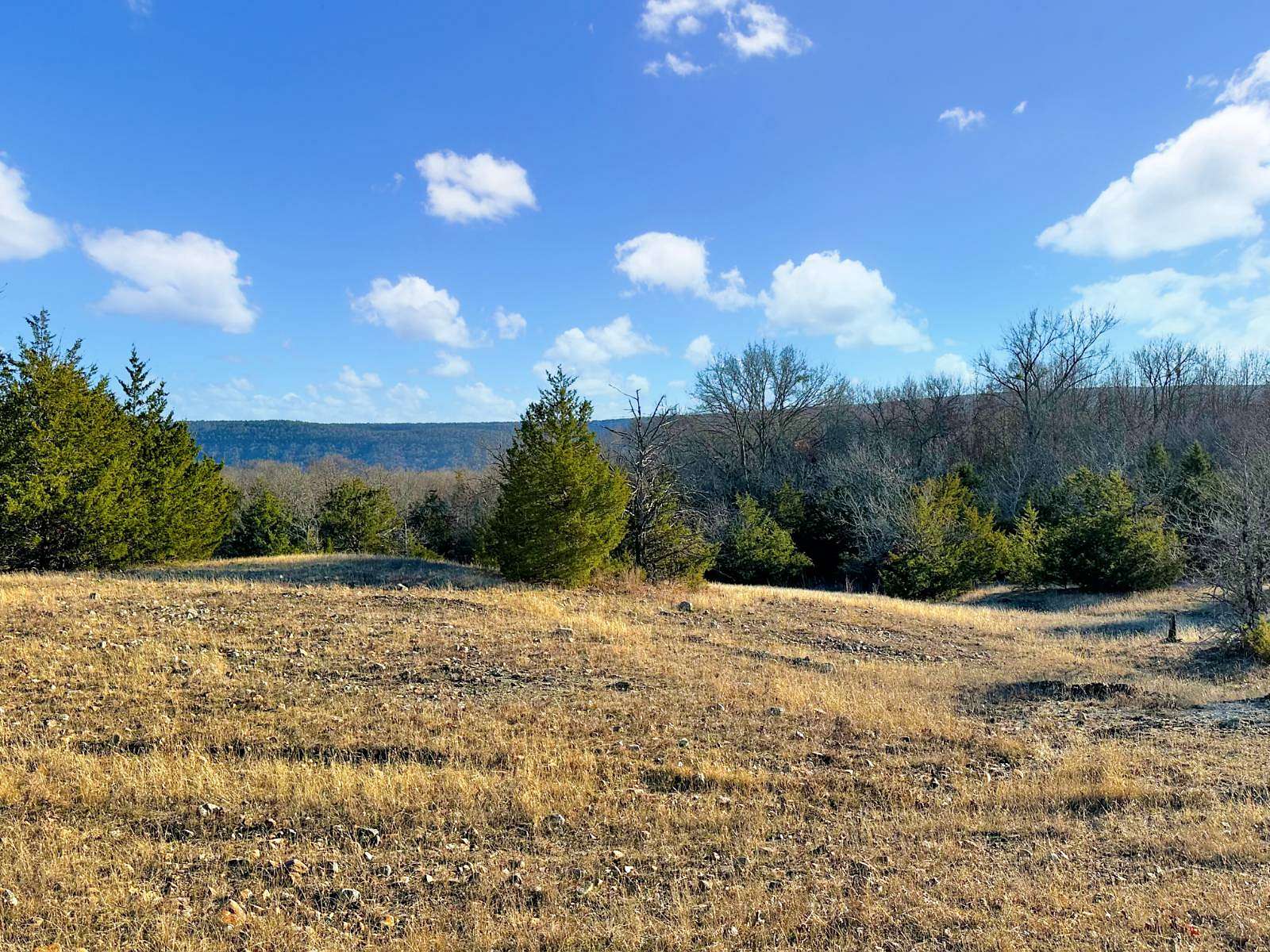 8.38 Acres of Residential Land for Sale in Talihina, Oklahoma