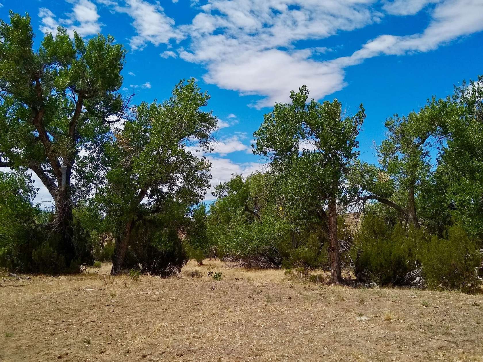35 Acres of Land for Sale in Rye, Colorado