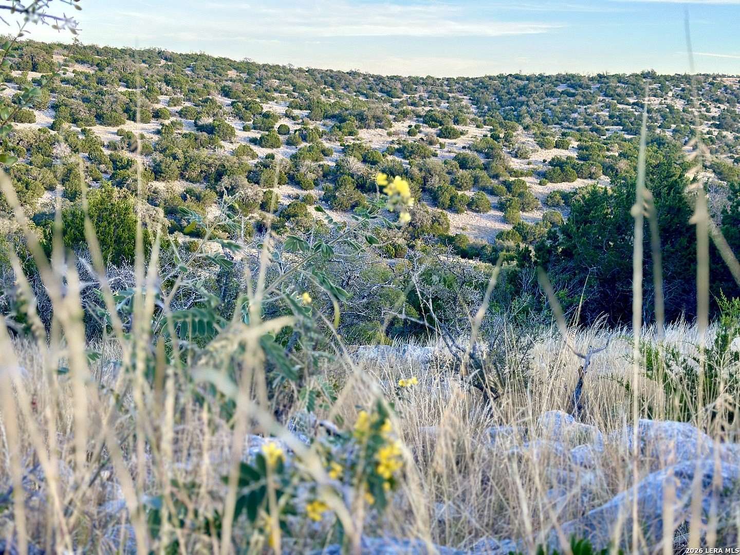 23.3 Acres of Land for Sale in Rocksprings, Texas