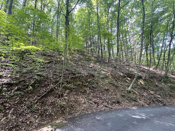 0.24 Acres of Residential Land for Sale in Sevierville, Tennessee