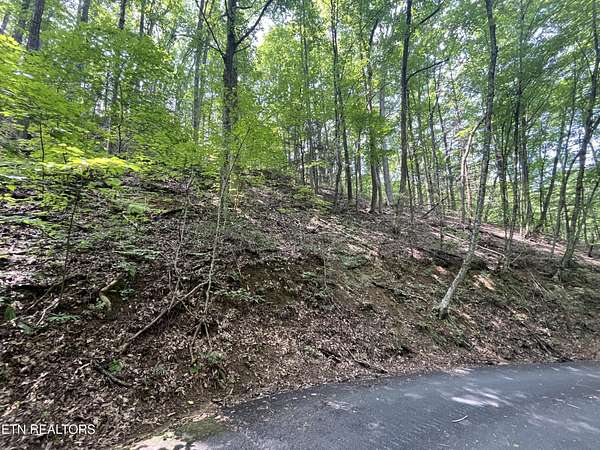 0.24 Acres of Residential Land for Sale in Sevierville, Tennessee