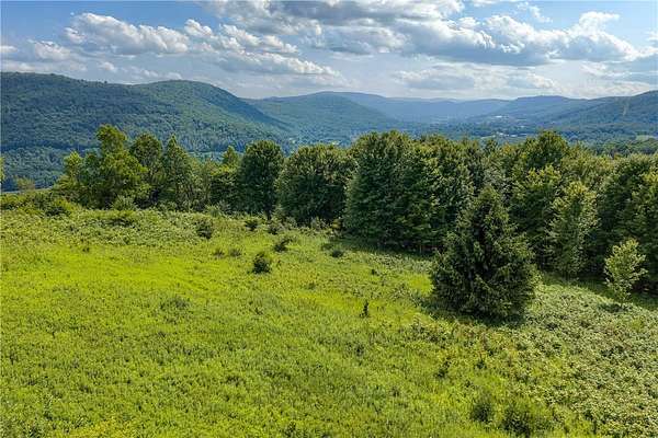 19 Acres of Recreational & Residential Land for Sale in Delhi, New York