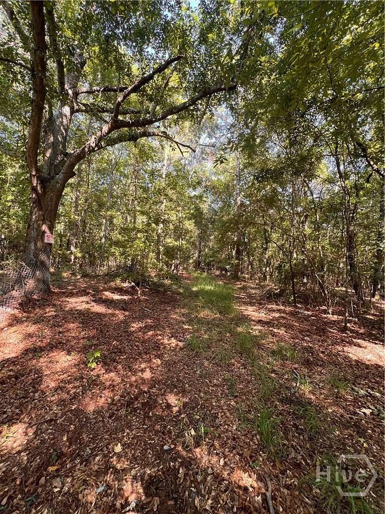 41.4 Acres of Recreational & Residential Land for Sale in Colbert, Georgia