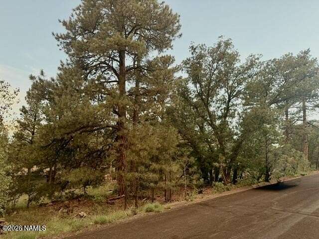 0.17 Acres of Residential Land for Sale in Munds Park, Arizona