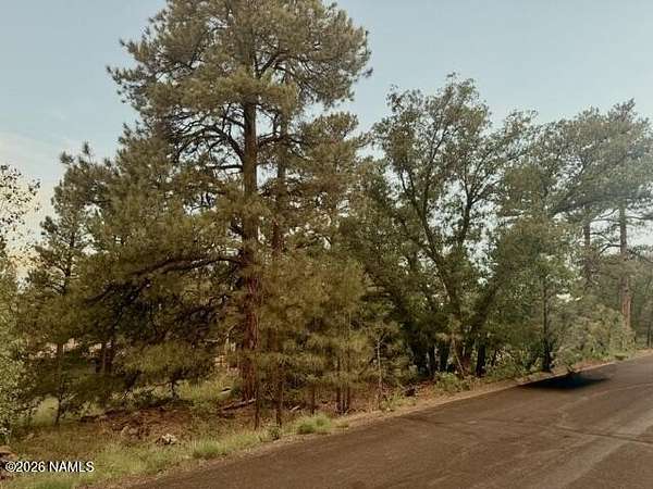 0.17 Acres of Residential Land for Sale in Munds Park, Arizona
