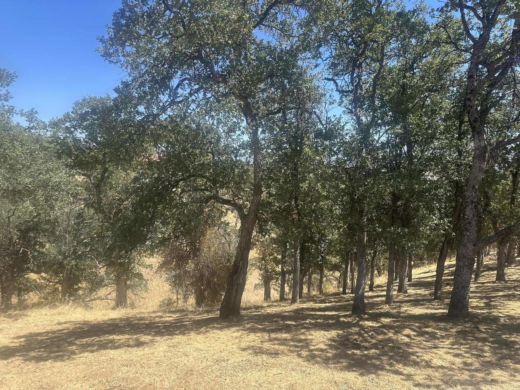 0.23 Acres of Land for Sale in Cottonwood, California