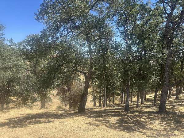 0.23 Acres of Land for Sale in Cottonwood, California