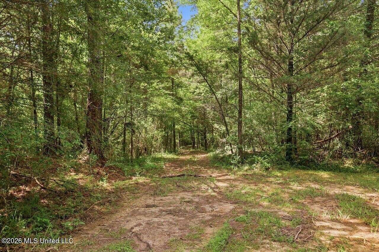 77.2 Acres of Recreational Land for Sale in Canton, Mississippi