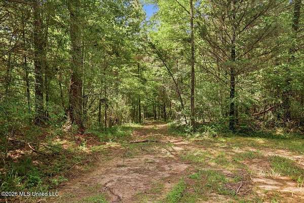 77.2 Acres of Recreational Land for Sale in Canton, Mississippi
