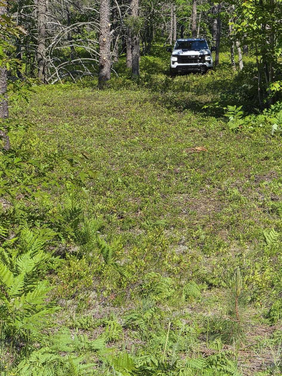 2.4 Acres of Land for Sale in Paradise, Michigan