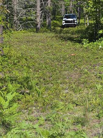 2.4 Acres of Land for Sale in Paradise, Michigan