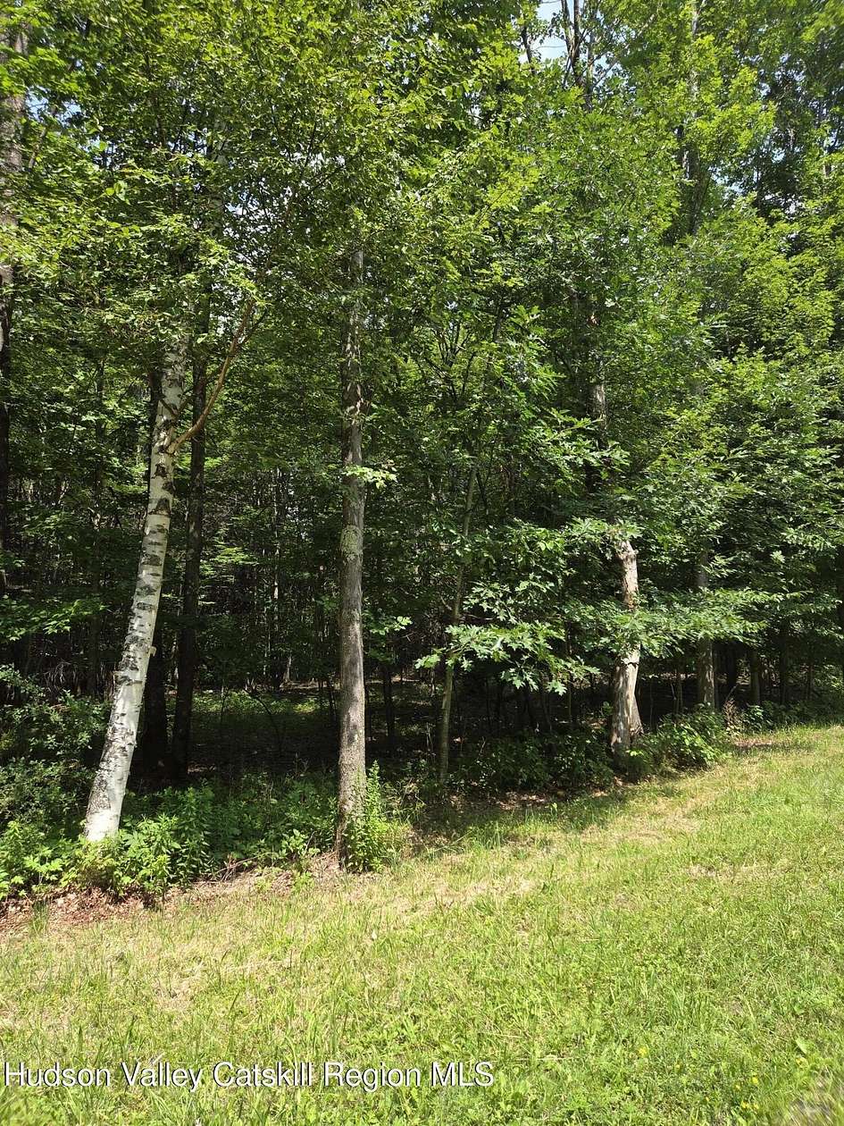 6 Acres of Land for Sale in Prattsville, New York