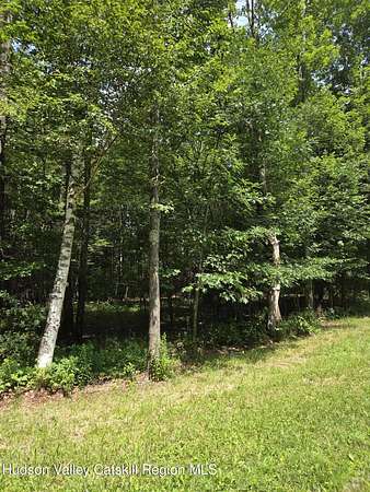 6 Acres of Land for Sale in Prattsville, New York