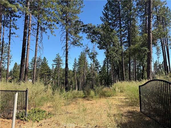 3 Acres of Residential Land for Sale in Paradise, California