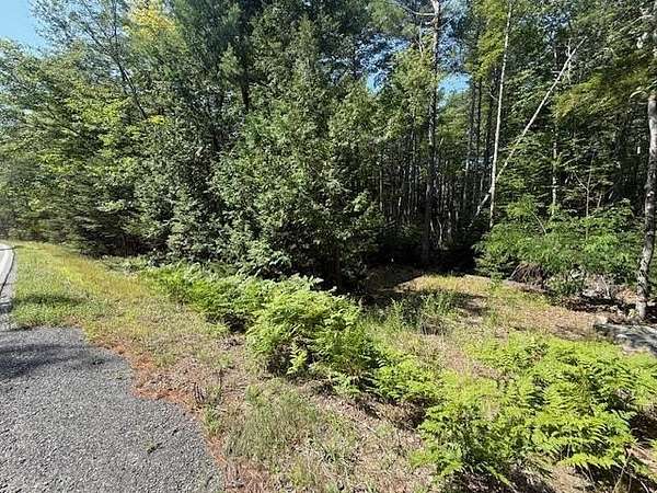 5 Acres of Land for Sale in Penobscot, Maine