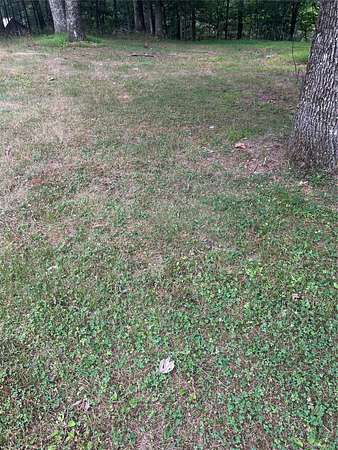 0.49 Acres of Residential Land for Sale in Napanoch, New York