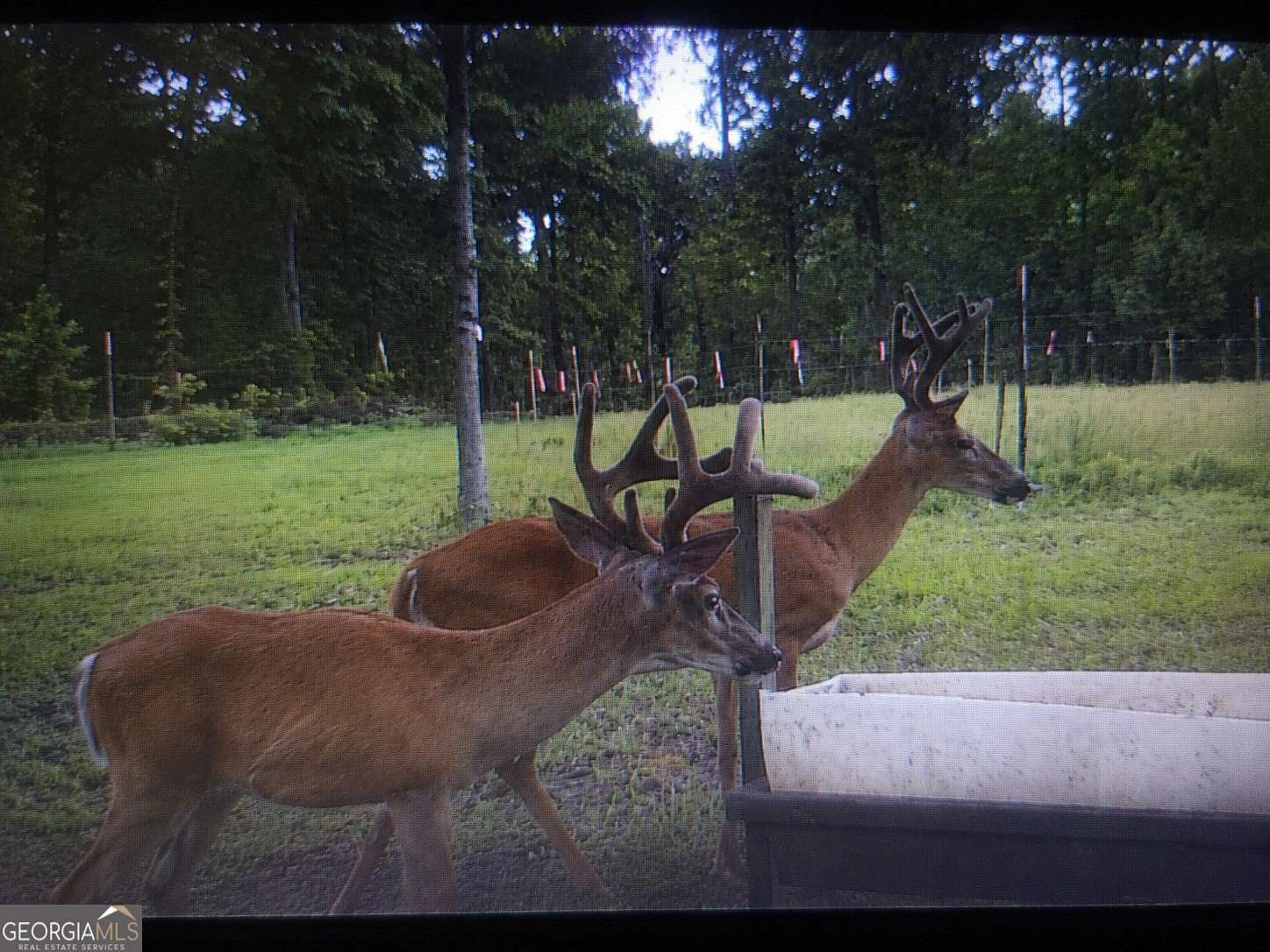 87 Acres of Recreational Land for Sale in Sparta, Georgia