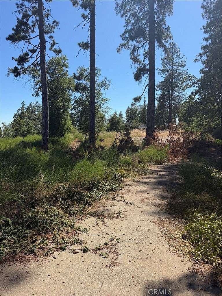 0.77 Acres of Residential Land for Sale in Paradise, California