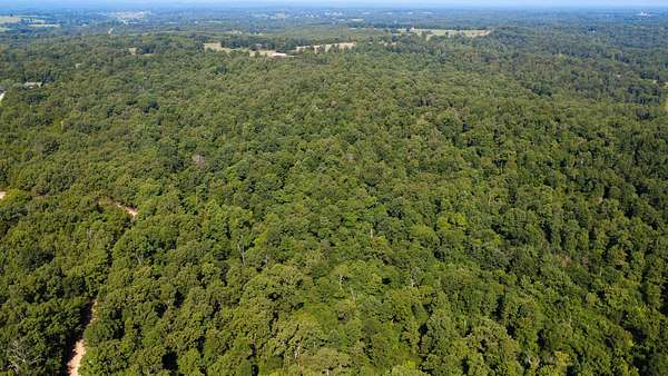 72 Acres of Recreational Land for Sale in Thayer, Missouri
