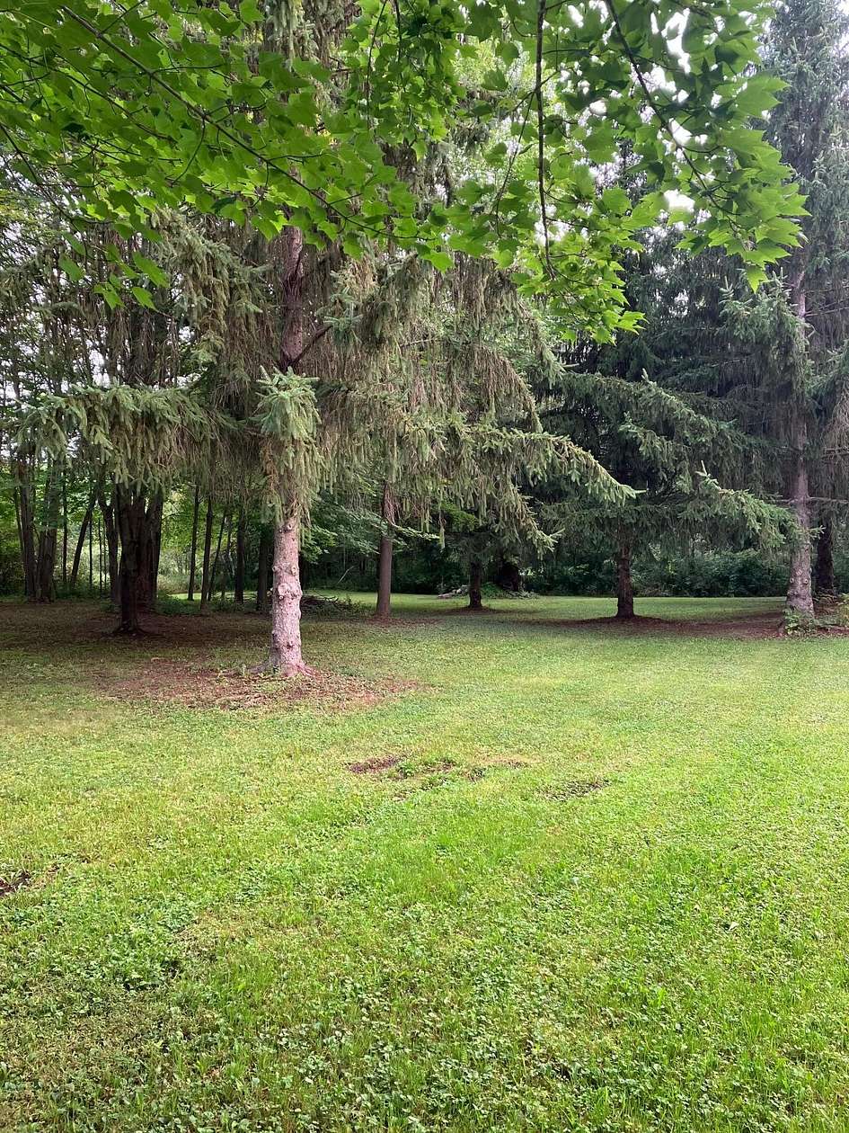 1.19 Acres of Residential Land for Sale in Pine City, Minnesota