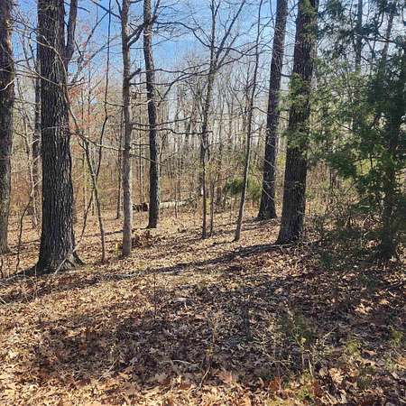0.29 Acres of Residential Land for Sale in Cherokee Village, Arkansas
